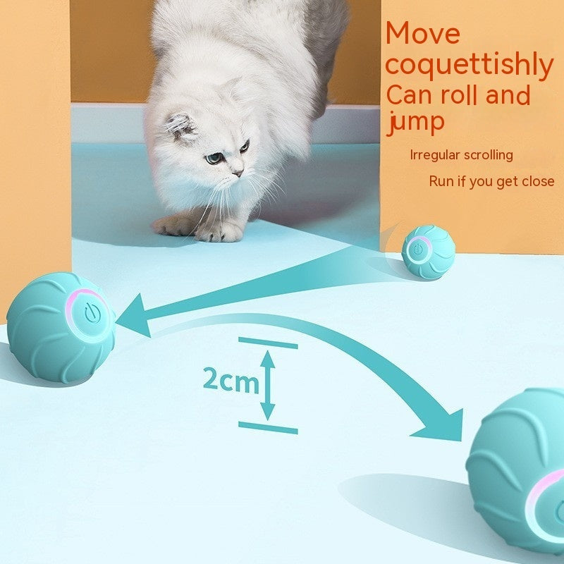Smart Cat Rolling Ball Toy