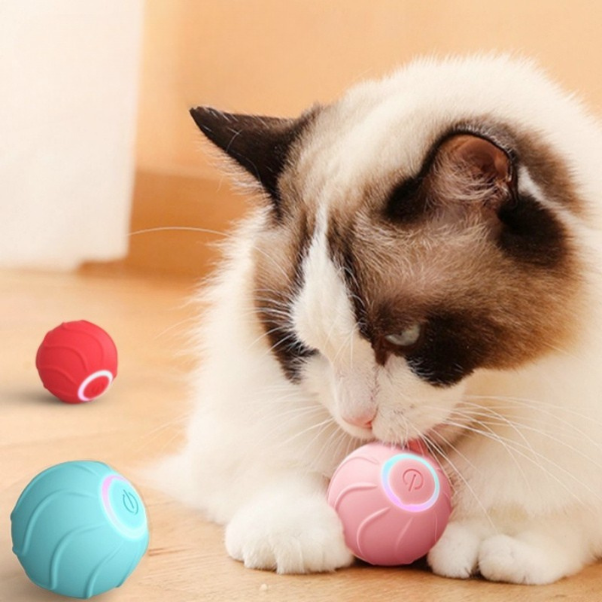 Smart Cat Rolling Ball Toy