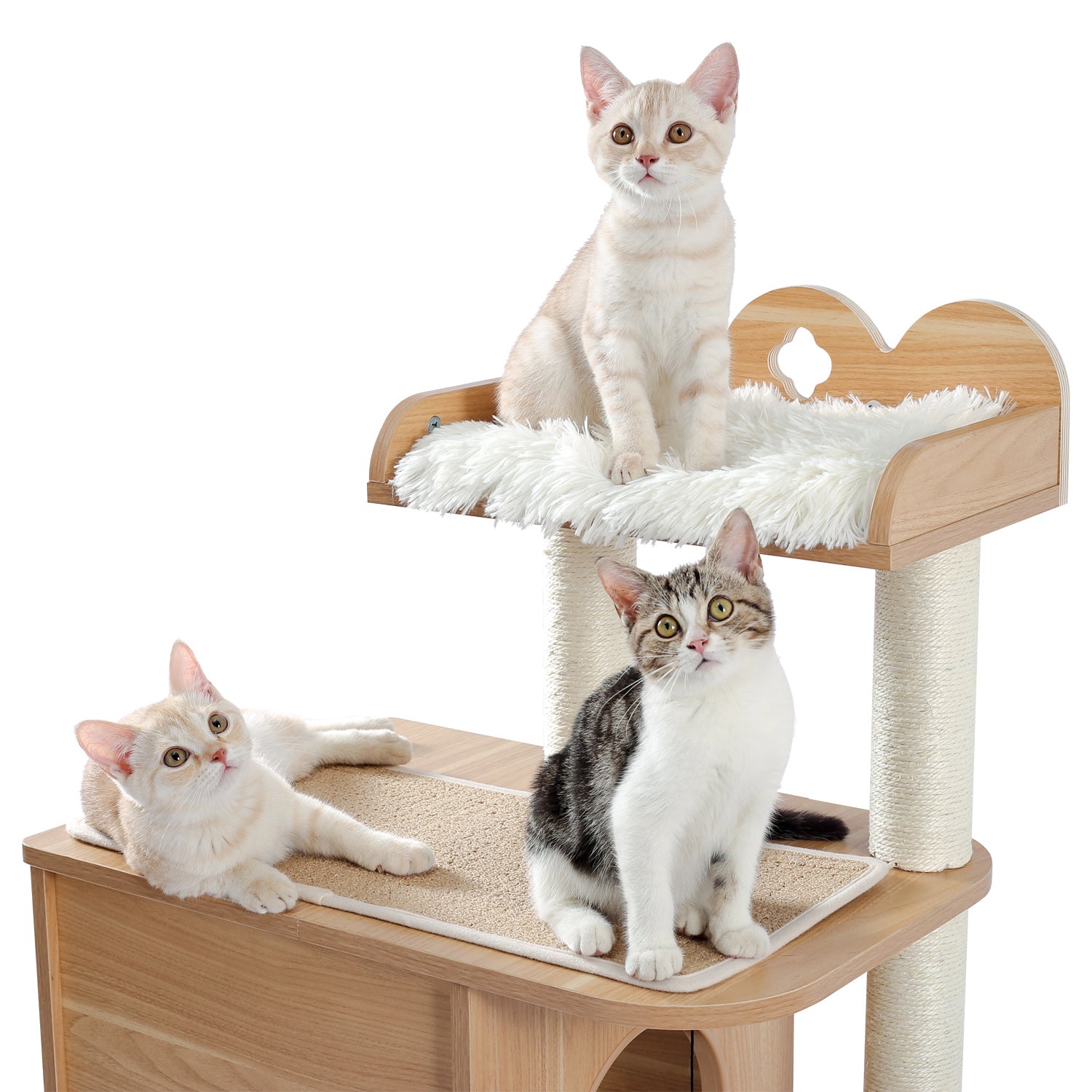 Personalized Cat Climbing Frame