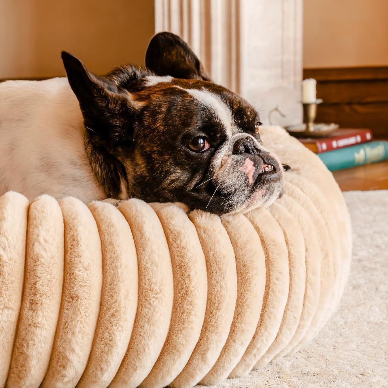 Calming Donut Pet Bed