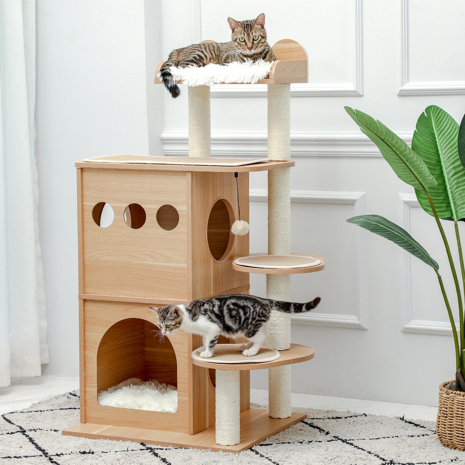 Personalized Cat Climbing Frame